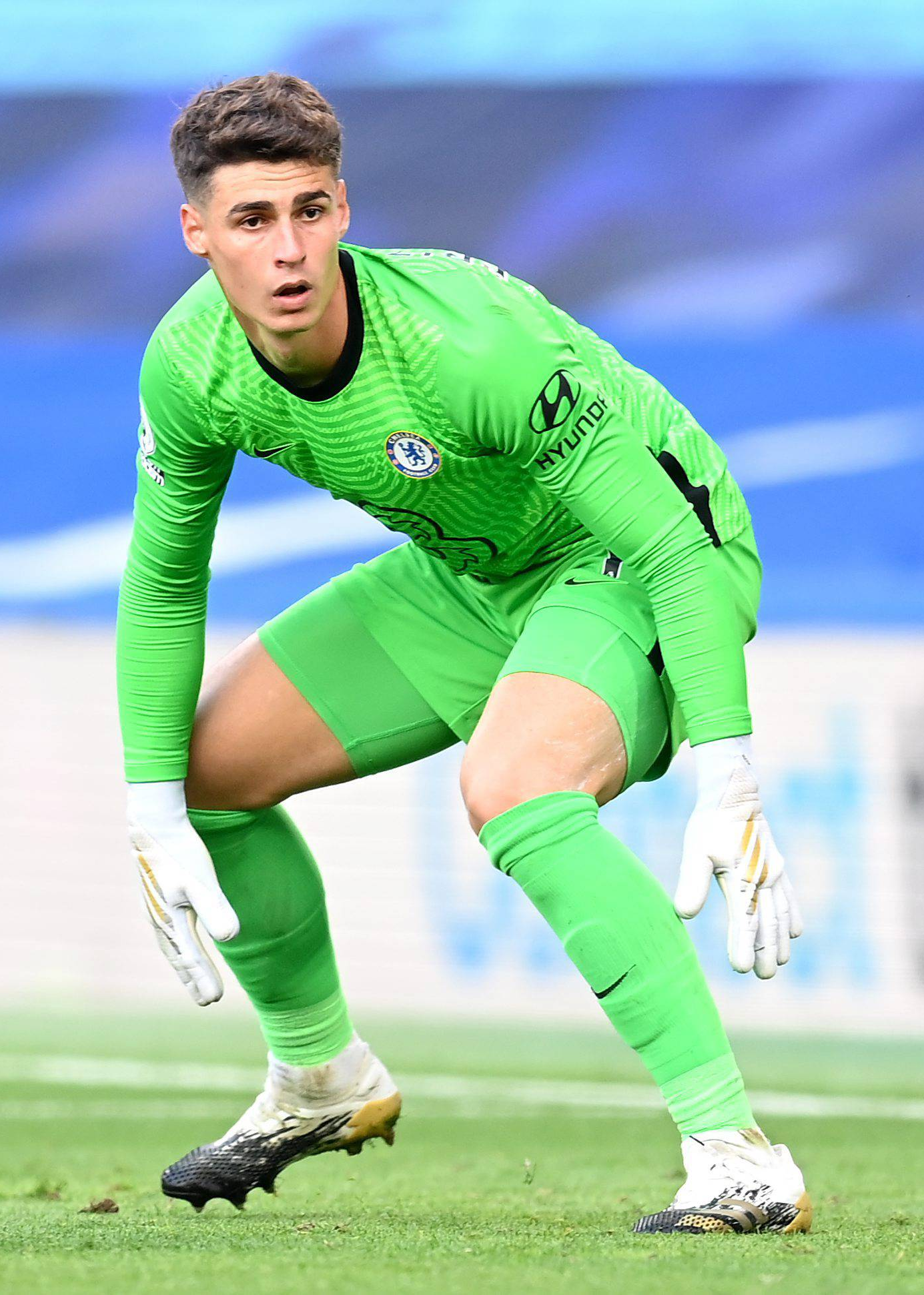  勇士22年夺冠因为西部伤完了 