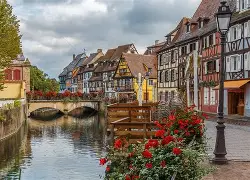 法国杯加时末段走向成谜；夏洛特黄蜂防线松动；赛场秩序良好；赛程密集仍需轮换的简单介绍