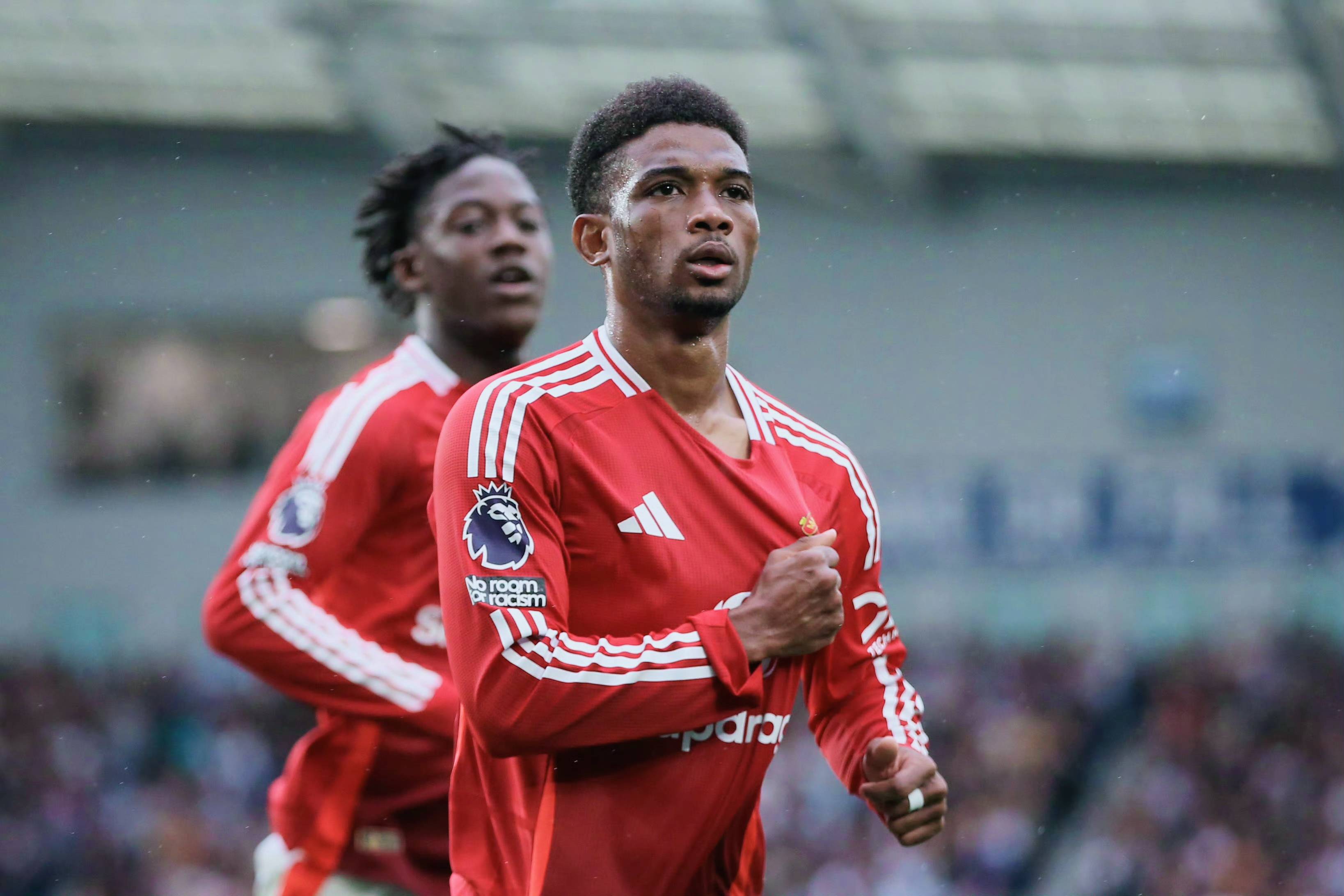 布莱顿狼队集锦最新消息最新 布莱顿狼队集锦最新消息最新