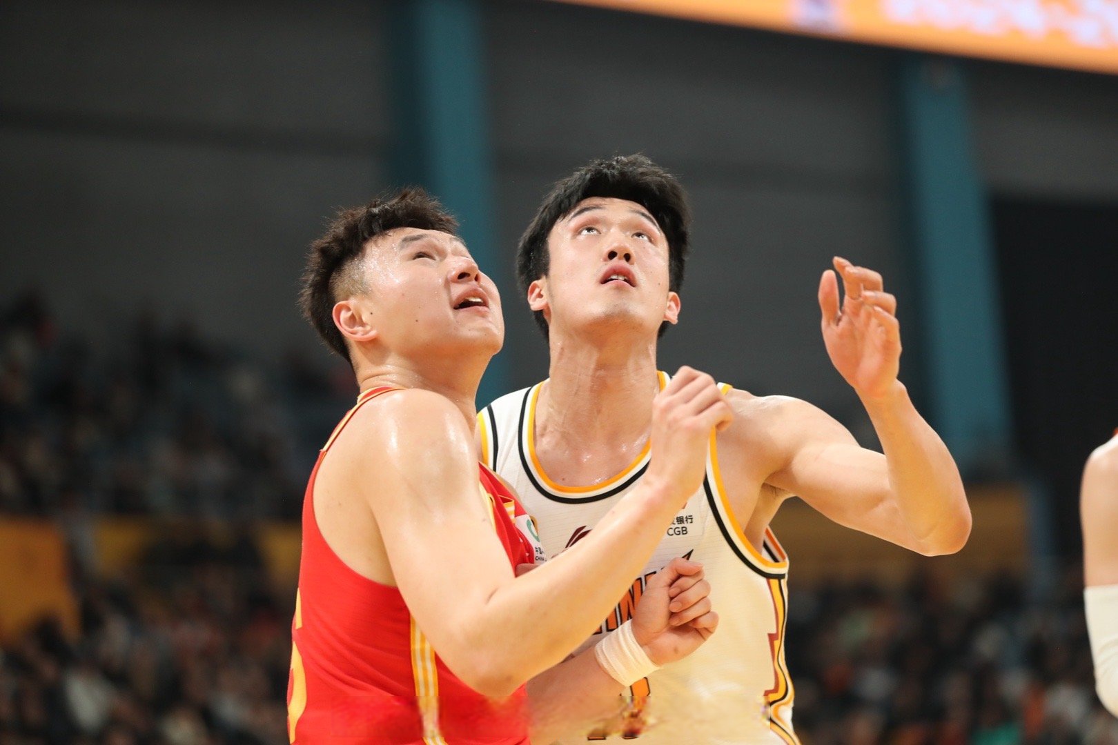 清晨广厦男篮回应争议——德国杯节点到来，球迷炸锅，临场指挥获称赞的简单介绍-kaiyun 官网